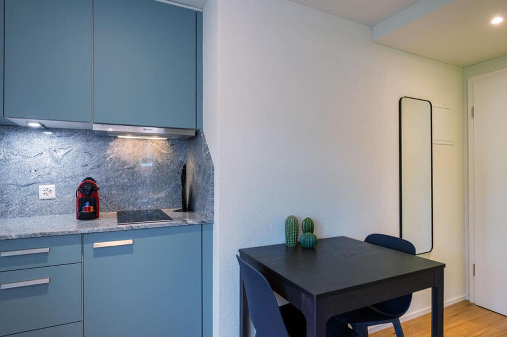 Appartement Hitrental Riesbach Zurich